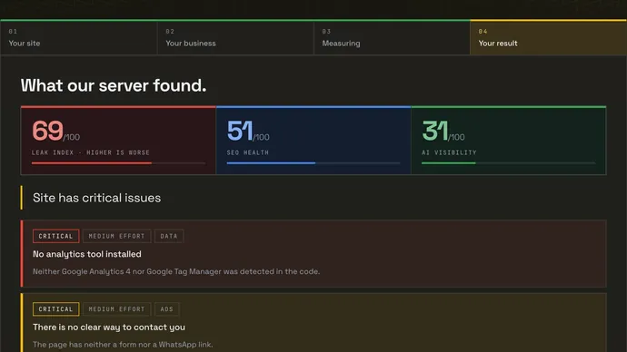 The report our server returns: leak index 69, SEO health 51, AI visibility 31, and the first two findings with the evidence behind each.
